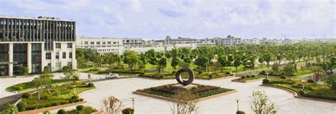 上海立信会计金融学院国际本科项目：开启您的全球职业之旅