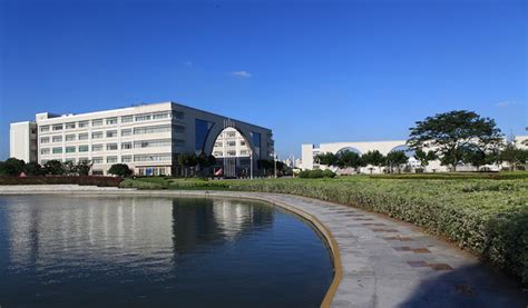 上海对外经贸大学国际本科3+1项目：开启全球化教育新篇章