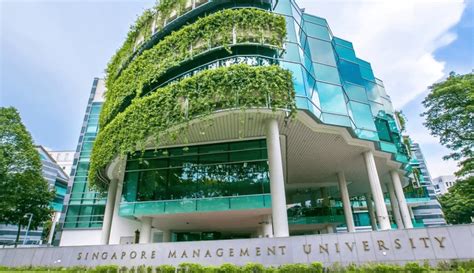 新加坡国际本科大学：为您的未来铺就成功之路