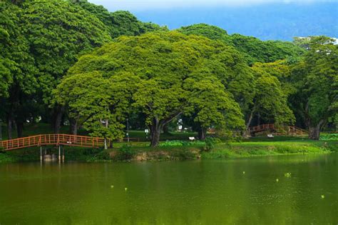 马来西亚留学1+3计划：开启您孩子的国际教育之旅