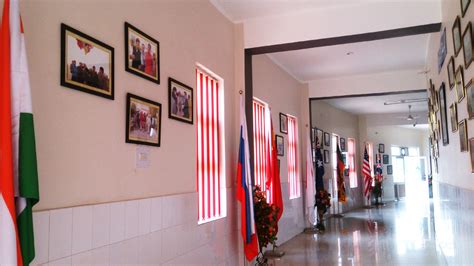 中外合作2+2模式：开启国际教育新篇章