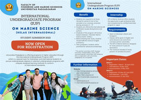 国内4+0国际本科院校：开启您孩子的全球教育之旅