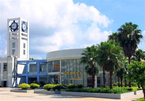 选择国内大学国际本科项目的五大理由