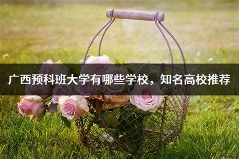 如何选择最适合您孩子的预科国际班