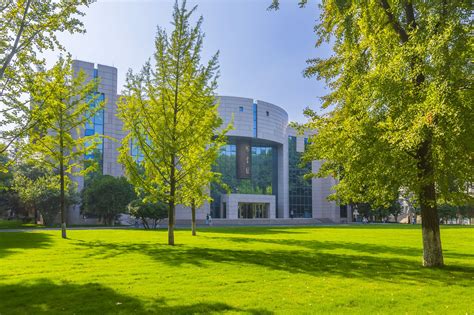 国际预科项目：为未来的全球学者铺就道路