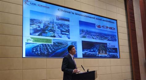 全面解析：大学2+2国际本科项目的优势与选择指南