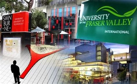 选择合适的学校和课程